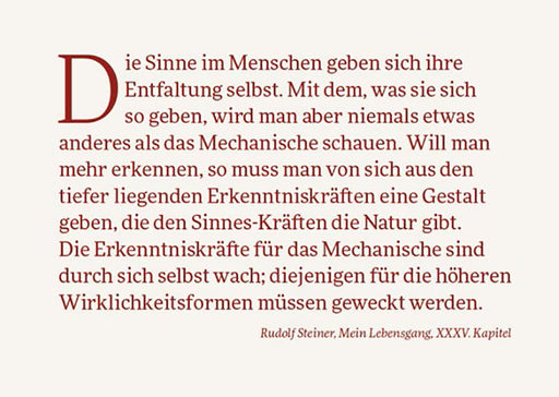 Sprachgestaltung