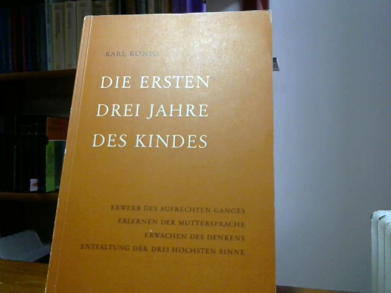 : Die ersten drei Jahre des Kindes
