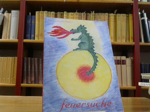 Baglioni Francesca Lüscher: Feuersuche