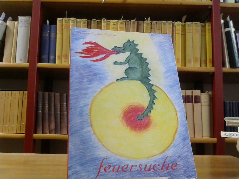 Baglioni Francesca Lüscher: Feuersuche