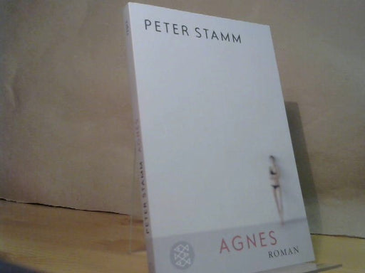 Peter Stamm: Agnes : Roman
