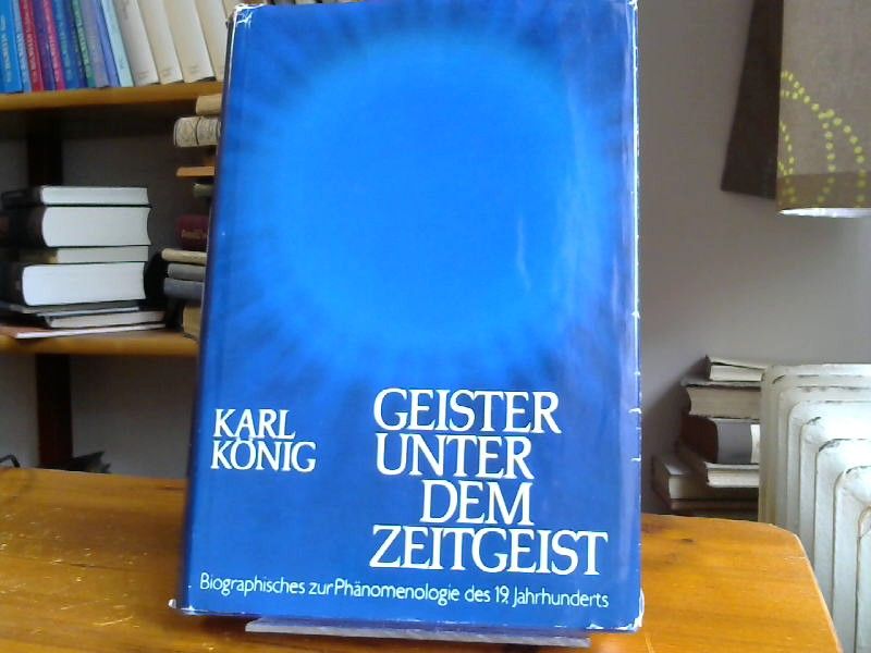 : Geister unter dem Zeitgeist. Biographisches zur Phänomenologie des 19. Jahrhunderts