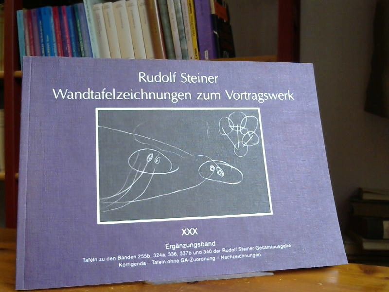 Rudolf Steiner: Wandtafelzeichnungen zum Vortragswerk. Band 30. Ergänzungsband.
