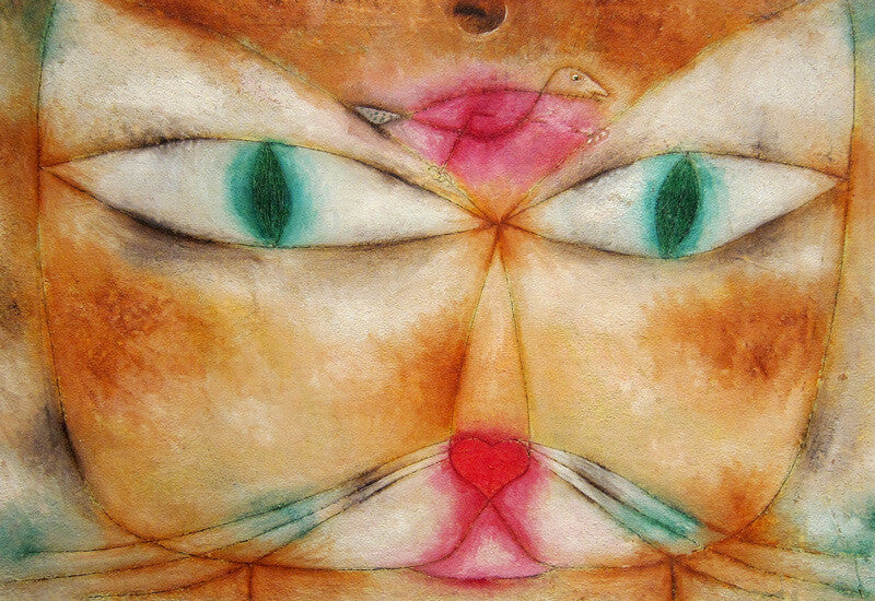 Katze und Vogel
