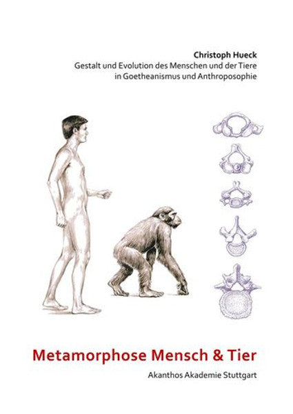 Metamorphose Mensch und Tier