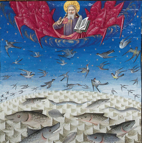 Vogel und Fisch