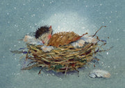 Postkartenbuch »Klaus Sausebraus«