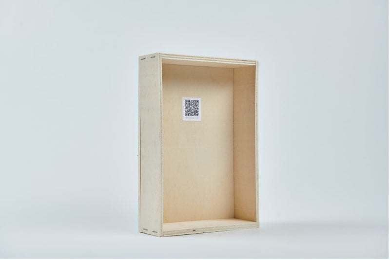 Beuys' Intuitionskiste - Revival am Bodensee: