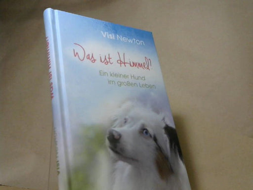 Visi und Hund Newton: Was ist Himmel? : ein kleiner Hund im großen Leben