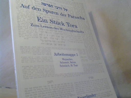 : Auf den Spuren der Parascha; Teil: Arbeitsmappe 3., Wajéschev, Schemót, Behár, Schelách, Ki Tez