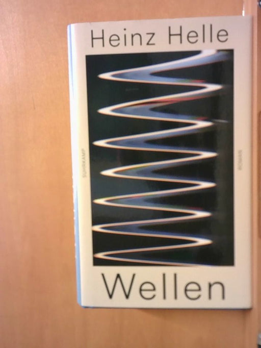 Heinz Helle: Wellen: Roman | Eine literarische Auseinandersetzung mit Männlichkeit und Vaterschaft