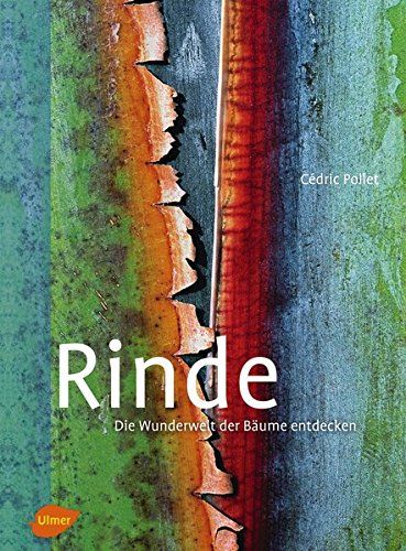 Cedric und Antoine Isambert Pollet: Rinde: Die Wunderwelt der Bäume entdecken