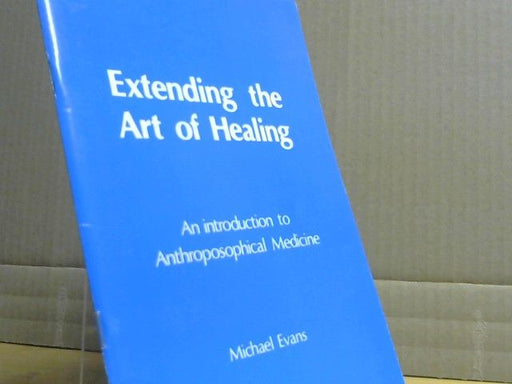 Michael Evans: Extending the Art of Healing