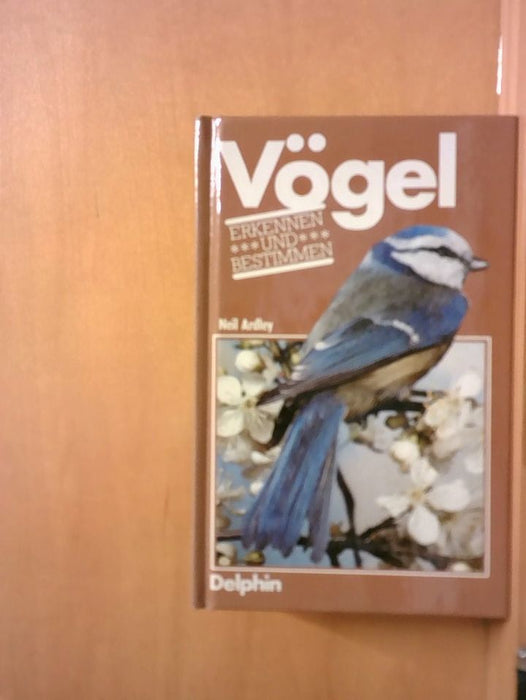 Neil: Ardley: Vögel erkennen und bestimmen