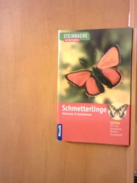 Gunter Steinbach: Steinbachs Naturführer Schmetterlinge