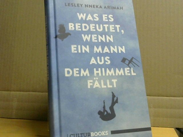 Lesley Nneka Arimah: Was es bedeutet, wenn ein Mann aus dem Himmel fällt