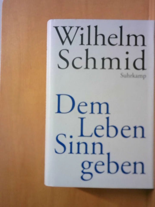 Wilhelm Schmid: Dem Leben Sinn geben: Von der Lebenskunst im Umgang mit Anderen und der Welt