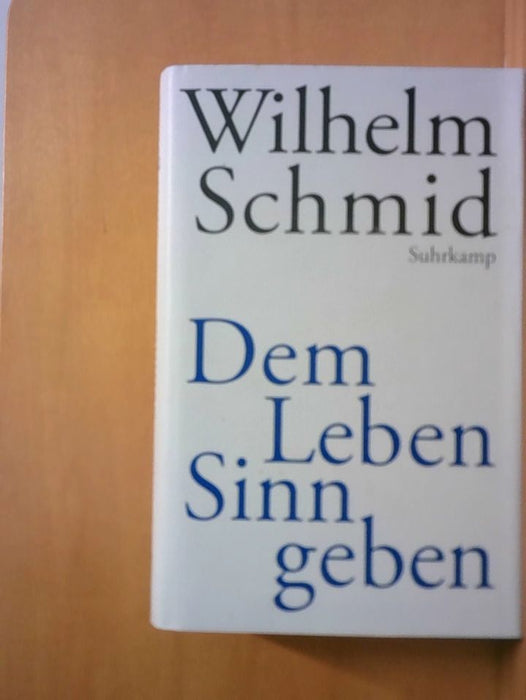 Wilhelm Schmid: Dem Leben Sinn geben: Von der Lebenskunst im Umgang mit Anderen und der Welt