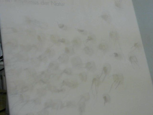 Hannelore Weitbrecht: Im Rhythmus der Natur