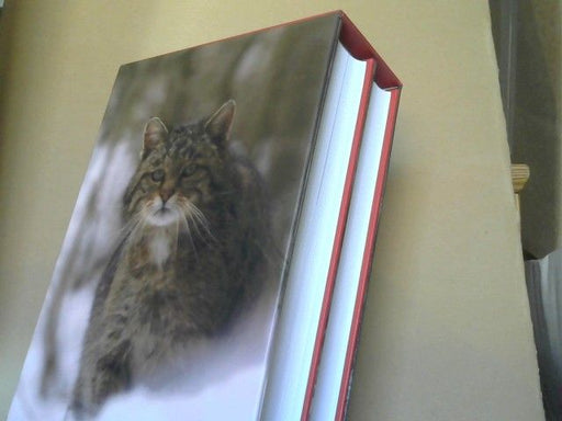 Wolfgang (Mitwirkender), Heinrich (Mitwirkender) Brettschneider und Albrecht (Mitwirkender) Schad Schad: Säugetiere und Mensch : ihre Gestaltbiologie in Raum und Zeit