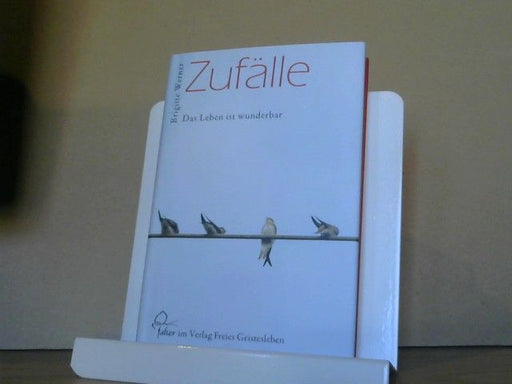 Brigitte Werner: Zufälle : das Leben ist wunderbar