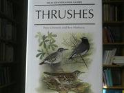 Peter Clement and Ren Hathway: Thrushes : Helm Identification Guides