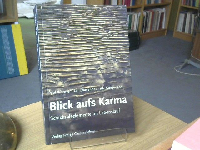 Paul, Lili Chavannes und Ate Koopmans Wormer: Blick aufs Karma