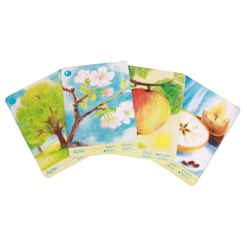 Natur-Quartett