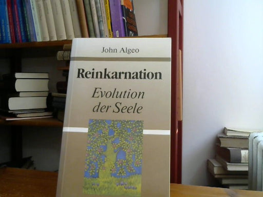 John Alego: Reinkarnation. Evolution der Seele
