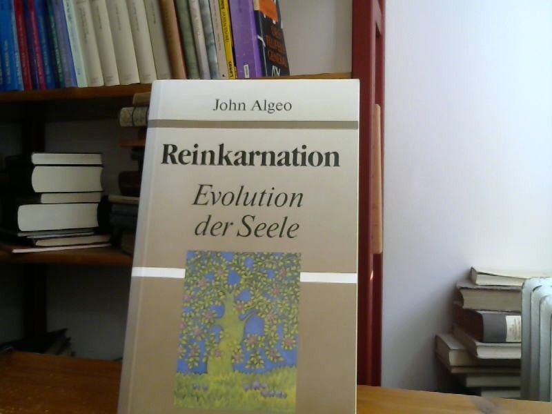 John Alego: Reinkarnation. Evolution der Seele