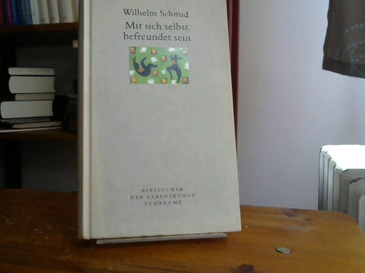 Wilhelm Schmid: Mit sich selbst befreundet sein: Von der Lebenskunst im Umgang mit sich selbst