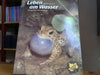 Gerhard Sturm: Leben am Wasser