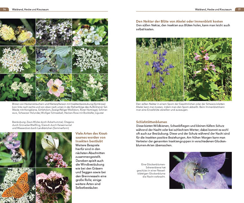 Symbiosen beobachten