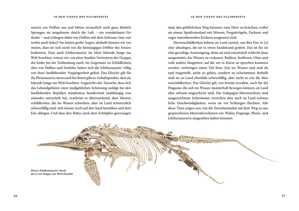 Das große Buch der Evolution