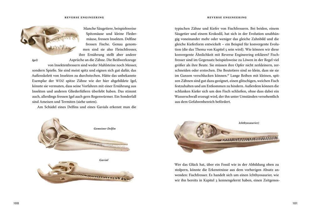 Das große Buch der Evolution
