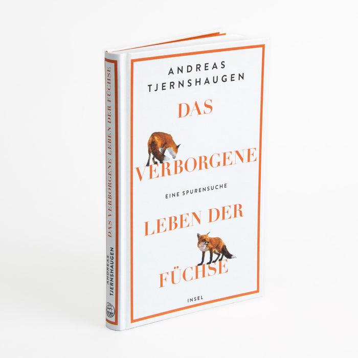 Das verborgene Leben der Füchse