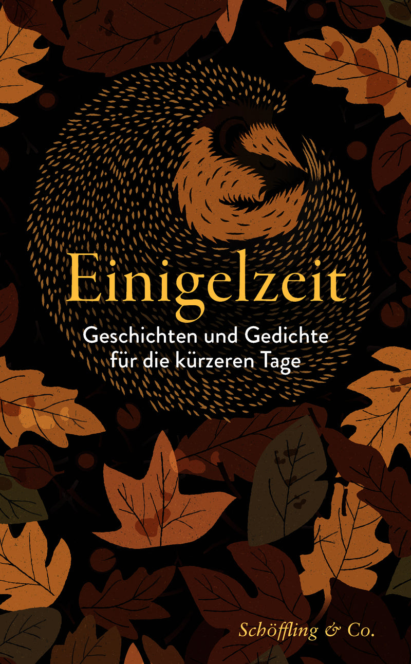Einigelzeit