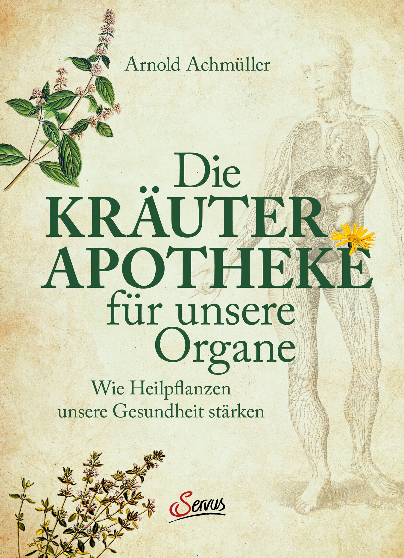Heilpflanzen