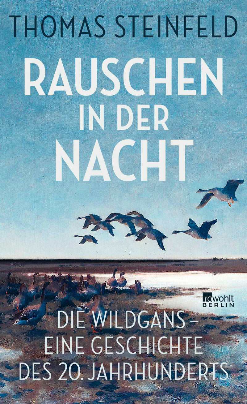Rauschen in der Nacht