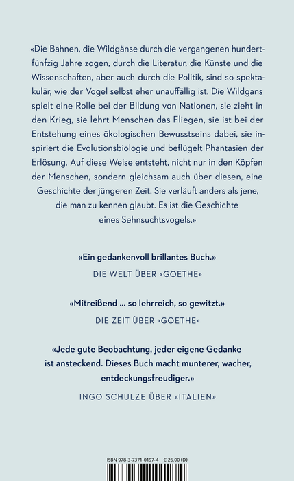 Rauschen in der Nacht