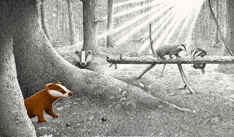 Versteckt im Wald