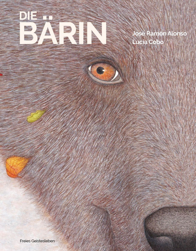 Die Bärin