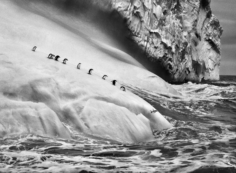 Sebastião Salgado: Gletscher