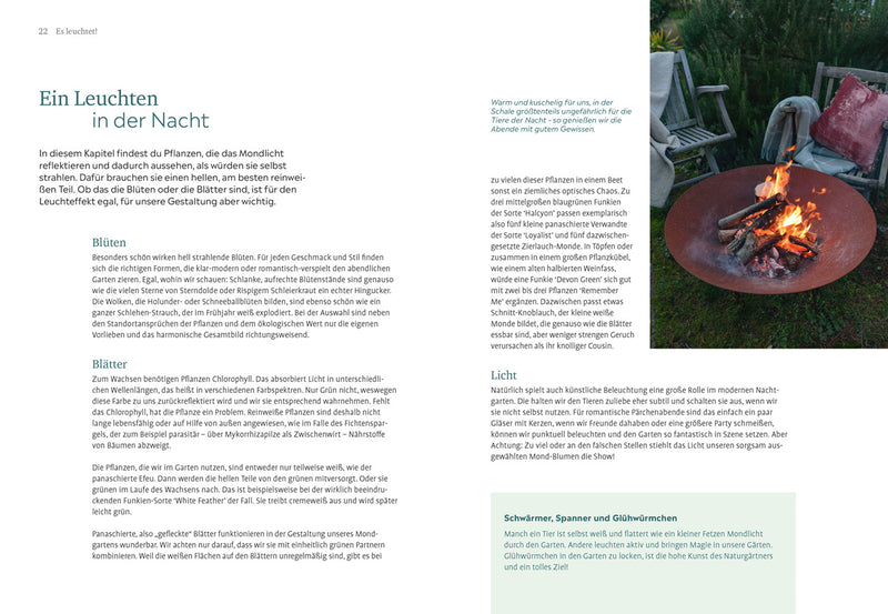 Der Nachtgarten