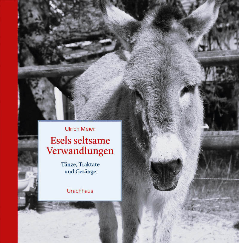 Esels seltsame Verwandlungen