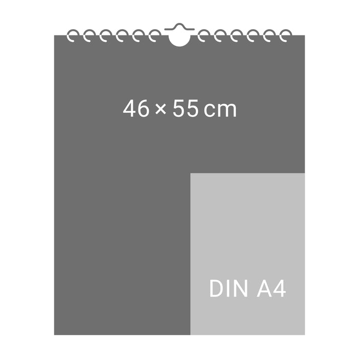 Lesende Frauen Edition Kalender 2026