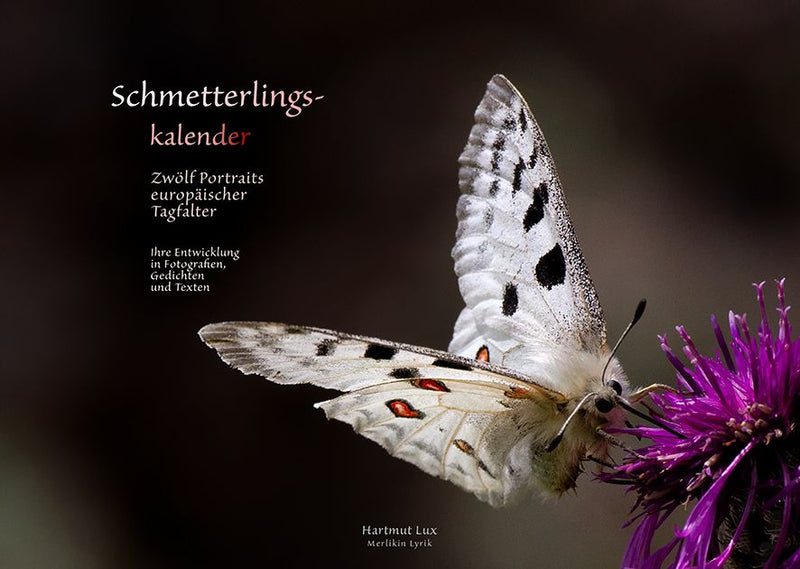 Schmetterlingskalender