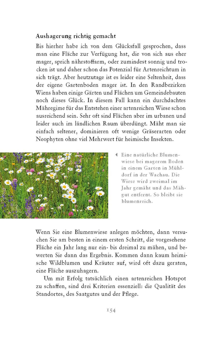 Die fabelhafte Welt der Schmetterlinge