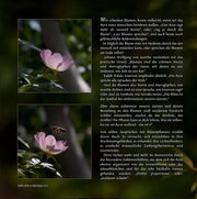 Die Schönheit der Blumen im Licht des Goldenen Schnittes