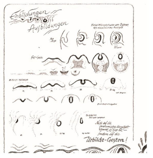 Einblidungen - Ausbildungen